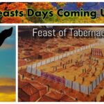 The 7th Kahdash is 5 Shabath Cycles Away! 3 Feast Days Approaching~~